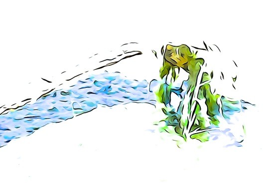 G7171165-Désespérance de la grenouille