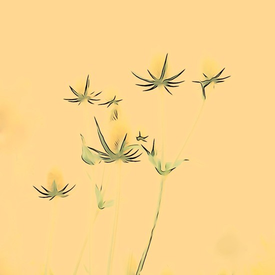 G7301675r-Les papillons