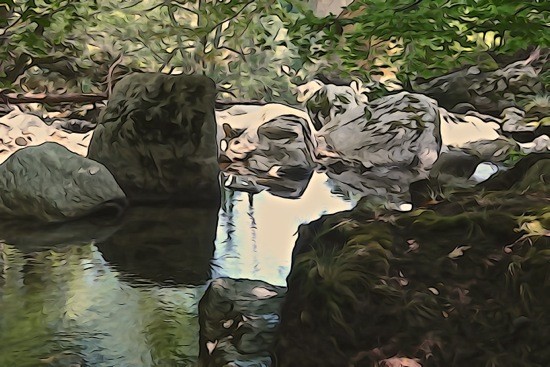 G8112662-Le miroir