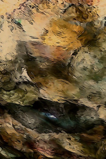 G8112790-Palette d'art