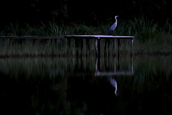 G9070490-Nocturne