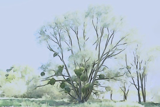 G9080735-Pastels