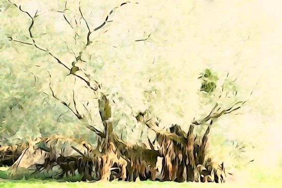 G9111222-Aquarelle au bord du lac