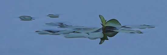 Ga011429-Aérien