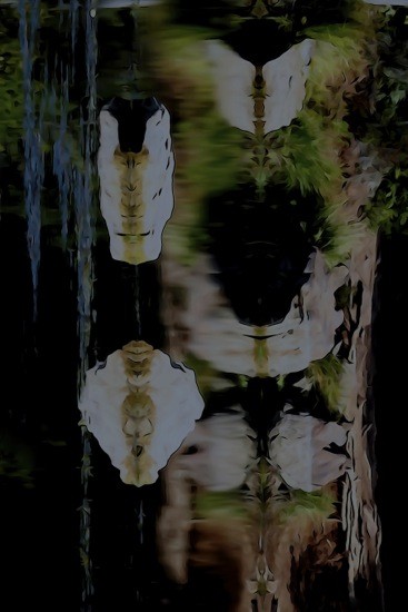 Ga011446-Abysse