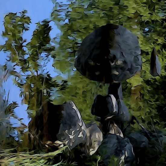 Ga011455-E.T. exotique