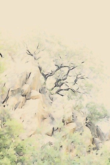 Ga011775-