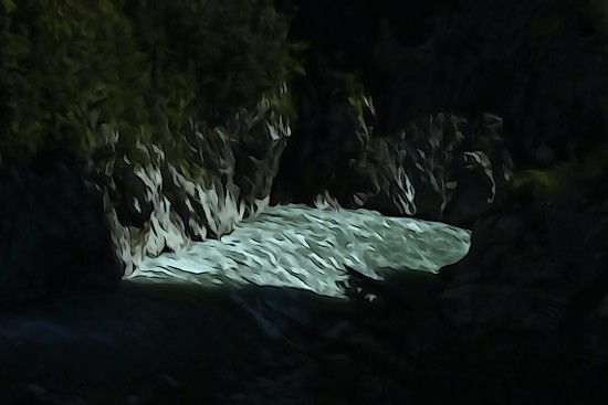 Ga113276-Ambiance aquatique