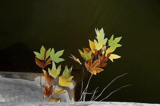 Ga163421-Automne 
