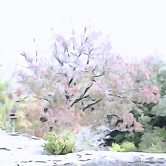 Ga163442-Printemps en automne 