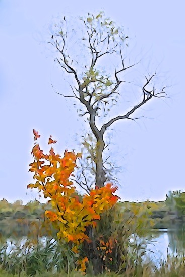 Ga223942-Bouquet d'automne 