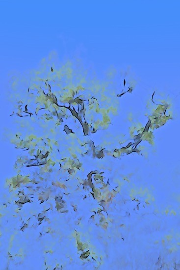 Ga244122-Arbre interrompu