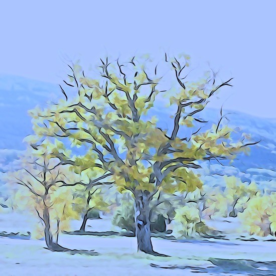 Ga244144-Arbre courant 
