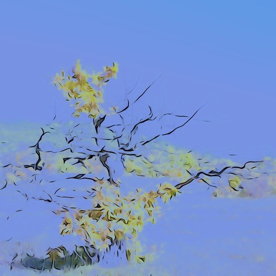 Ga244163-Arbre fou 