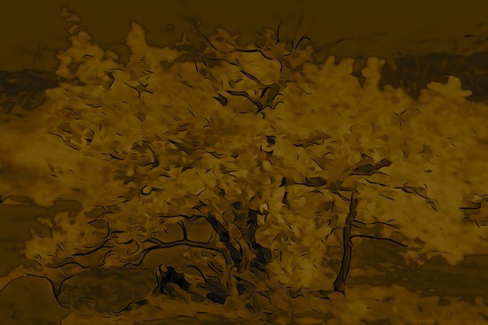 Ga294488-Flocons