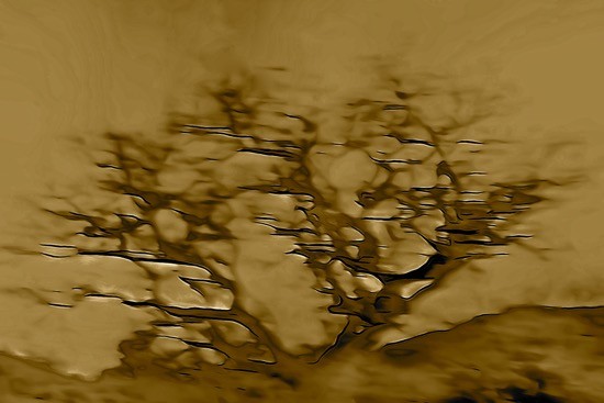 Ga294528 3-Traits de Lumière