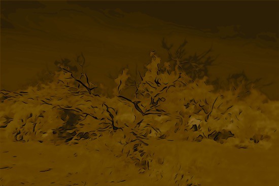 Ga294584-Steppe