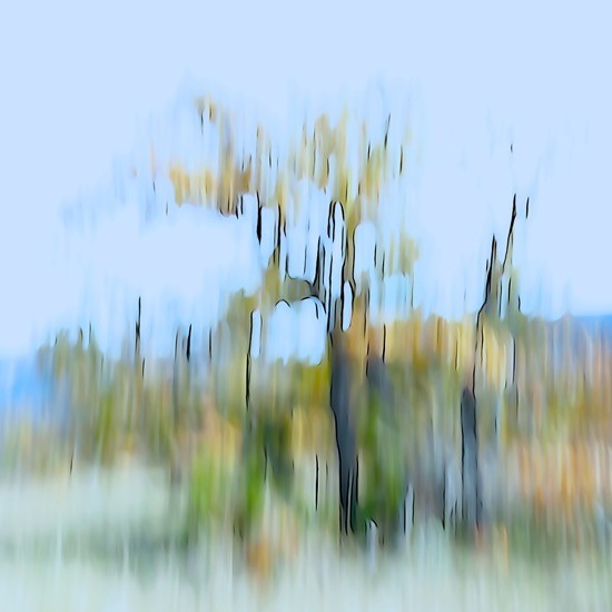 Ga294615-Dissipation