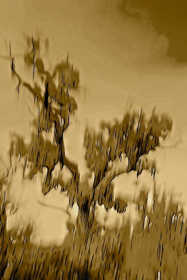 Ga294682-Averse