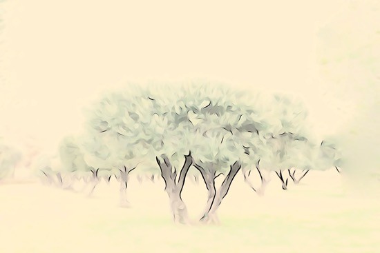 H1168945-Aquarelle