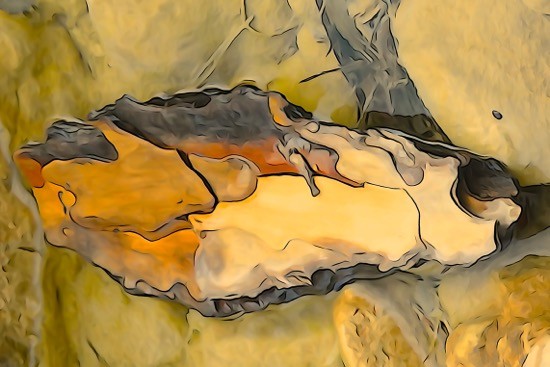 H3131817-Larme à l'oeil
