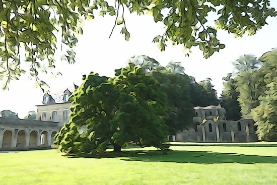 H9069119-Majestueux