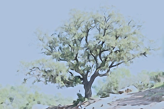 I3242749-Aquarelle printanière
