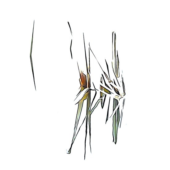 I5053045-Tendrement