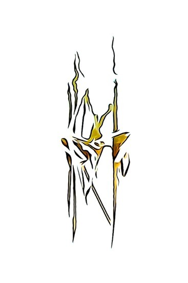 I5073407-Frissons
