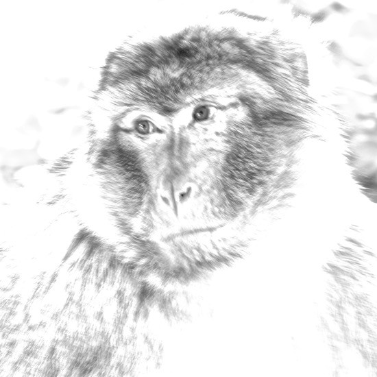 I5165644-Expression humaine au fusain !