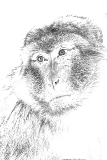 I5165647-Expression humaine au fusain !