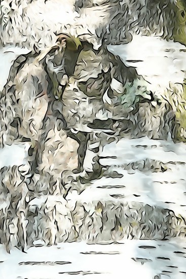 I8191595-Caricature