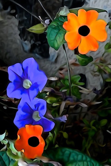I9023611-Tricolore