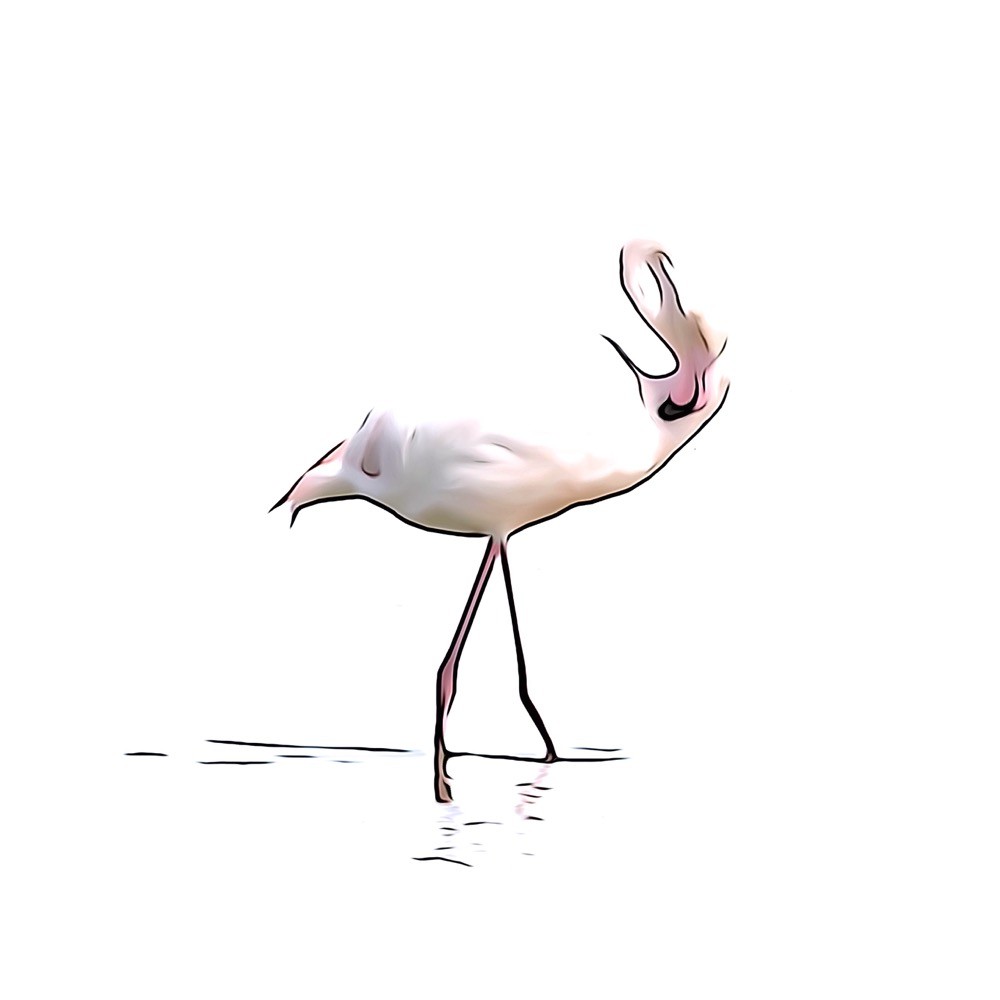 J4067556 2-Ballerine