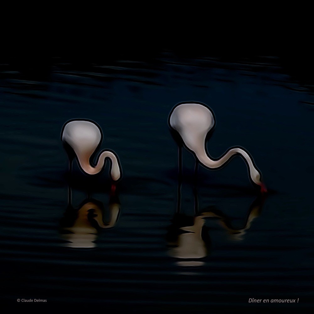 J4067560 2t-Dîner en amoureux !