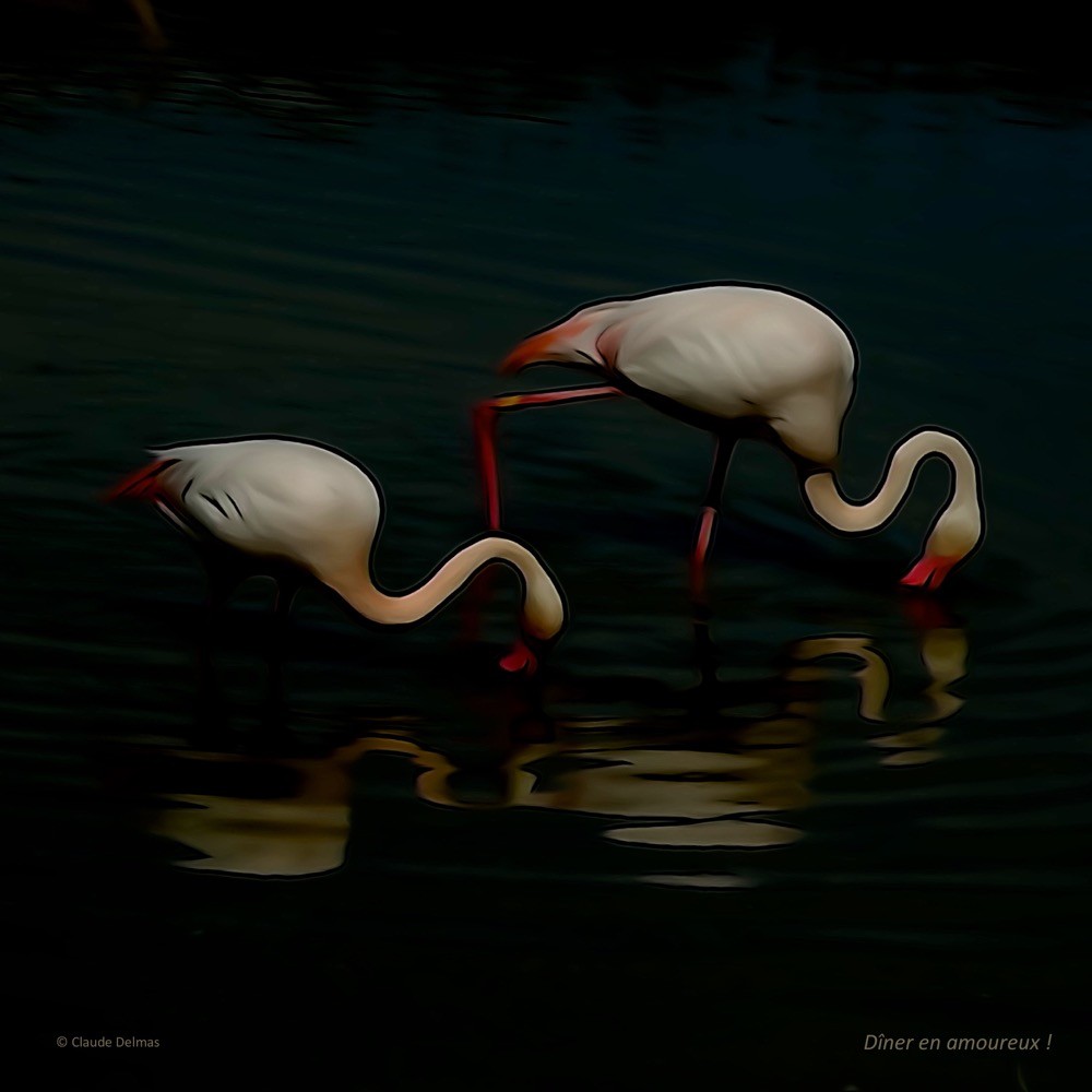 J4067567t-Dîner en amoureux !