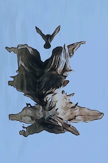J4268220-L'oiseau au bois flottant