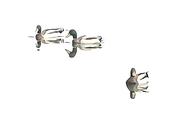J4278365-Triolet !