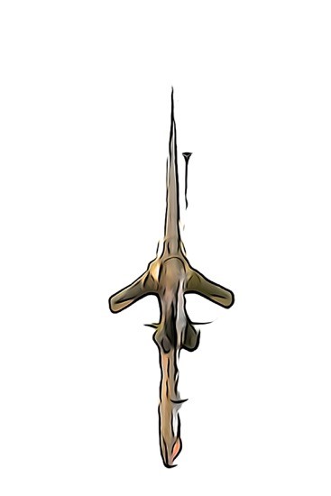 J4278459-Chevaleresque