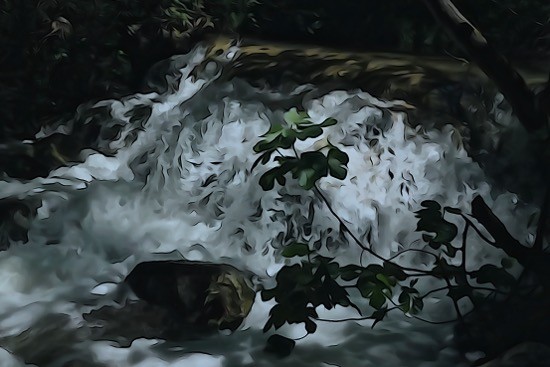 J6159800-Cascade des Encaneaux
