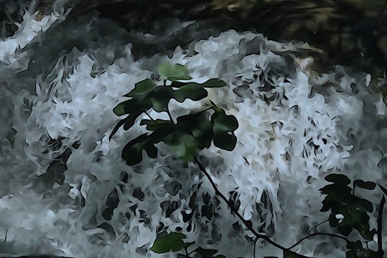J6159808-Cascade des Encaneaux
