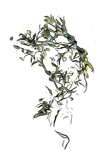 J6261012-Genre de sorcière