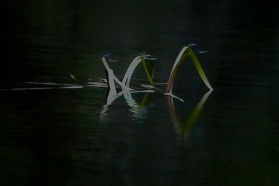 J6292305-Navigation nocturne