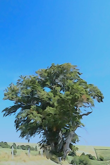 J8154364-Ebouriffé