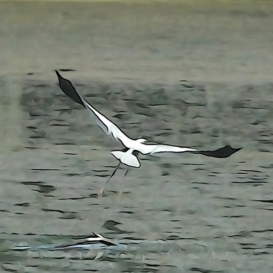 J8174909-Décollage