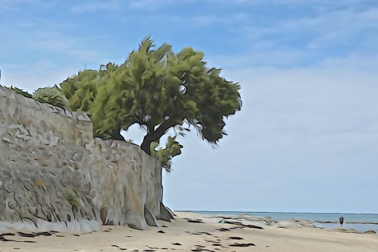 J8316608-Promeneur