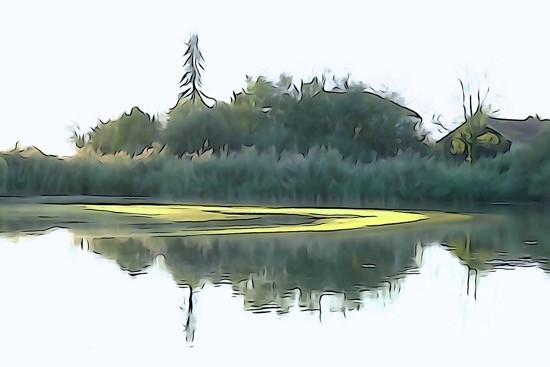 J9077447-Sur un lit de verdure
