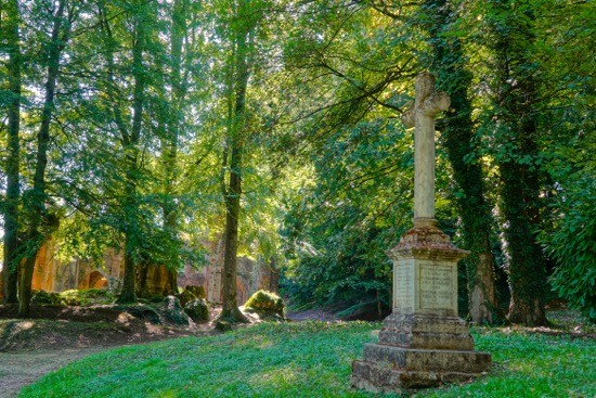 J9097788-Les Noces du Végétal et du Spirituel