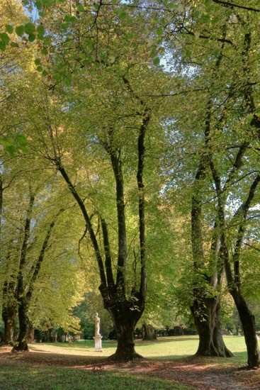J9097822-La statue du parc
