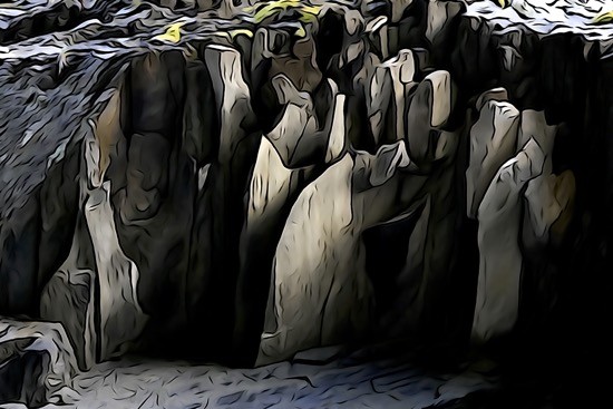 J9228069-Monastique